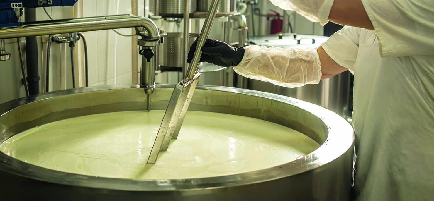 Unlocking the benefits of whey and soy protein isolates