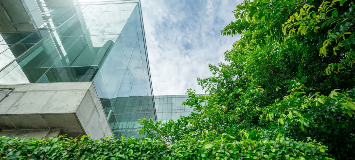 Carbon capture: Why it's time to invest more in storing CO2