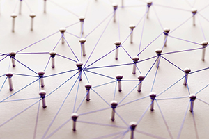Expand your network