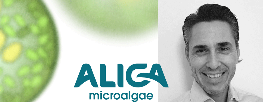 David Erlandsson photograph, Aliga